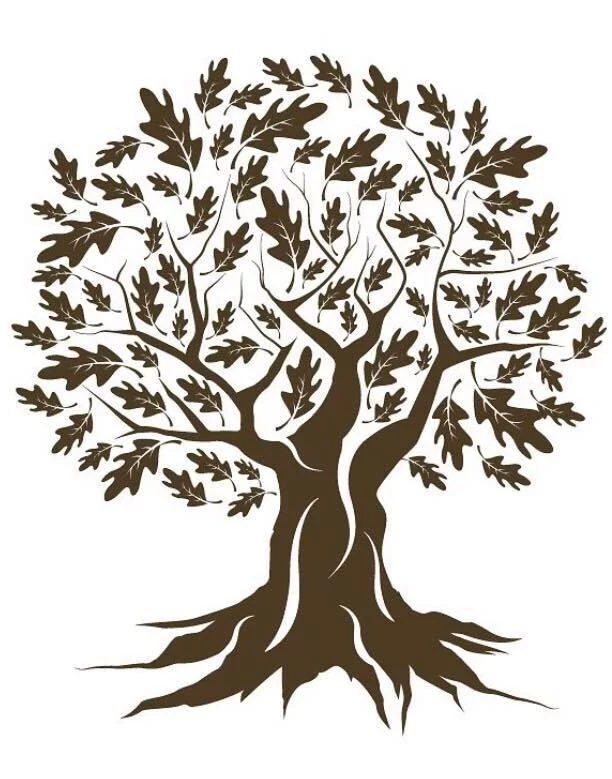 devizes tree services logo